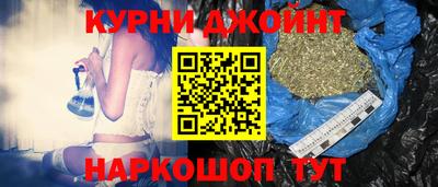 индика Гусев