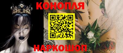 индика Гусев