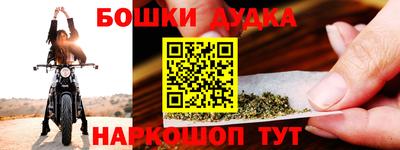индика Гусев