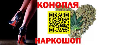 индика Гусев
