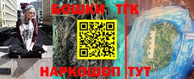 индика Гусев