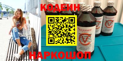 индика Гусев