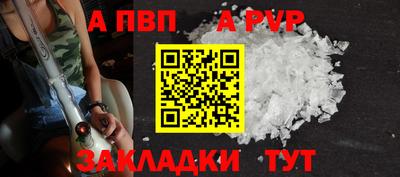 индика Гусев