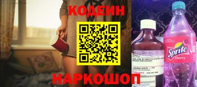 индика Гусев