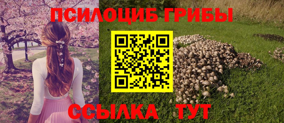 Москва  где купить   Вход с VPN  Псилоцибиновые грибы MAGIC MUSHROOMS 